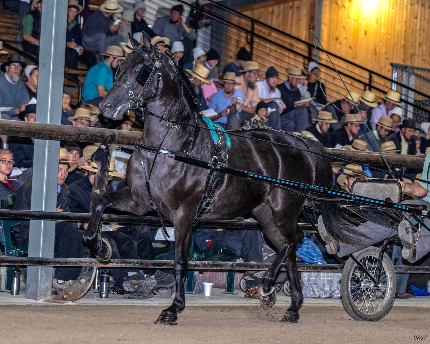 Winsome Hills Julia, by Derawnda Holbrook