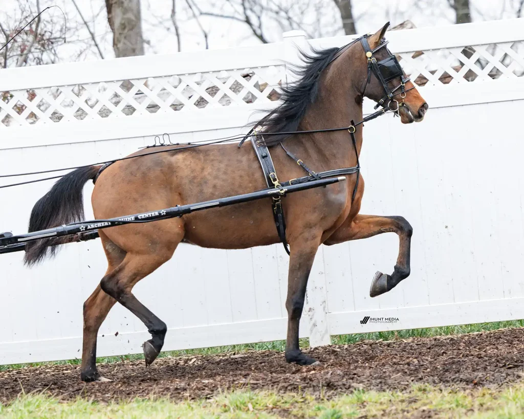 Lot 61 - Super Package