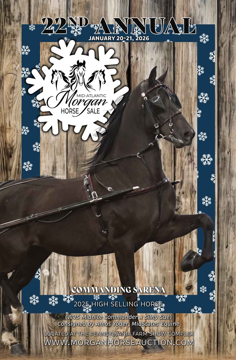 2026 Mid-Atlantic Morgan Sale