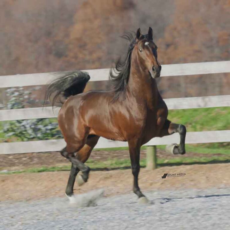 S-3 Valley Acres Justify