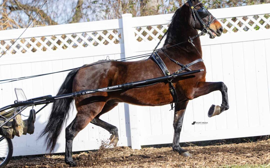 LOT 121 – Princess Diamond