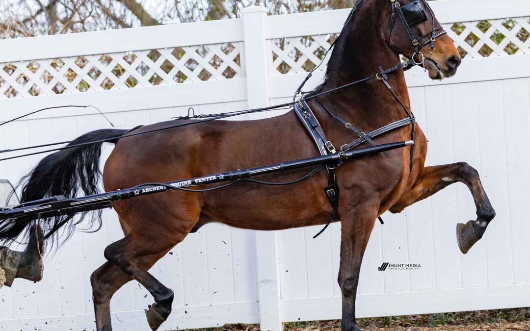 LOT 21 – SSMF Super Charged