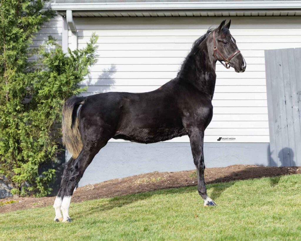 Lot 55 - Elco Ridge Malibu