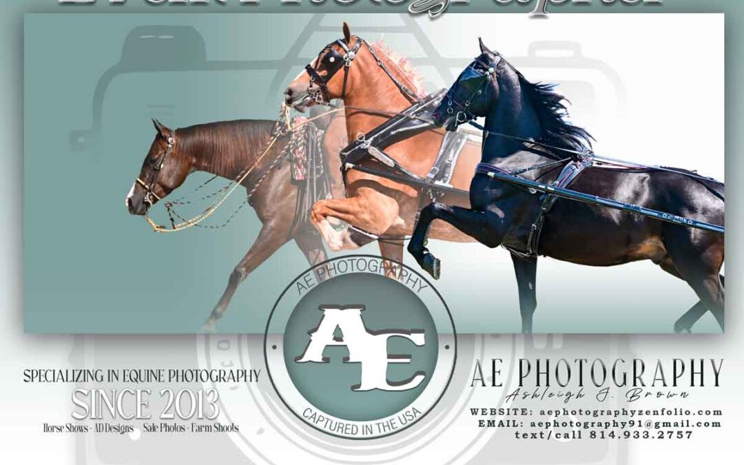 The 2026 Sale Photos ONLINE at AE Photography!